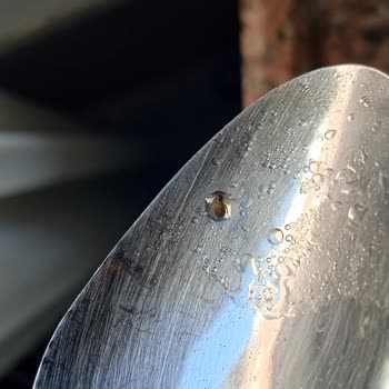 Noodle Paketinden Böcek Çıkması Nedeniyle Yaşadığım Hijyen Endişesi