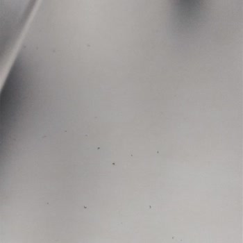 Bulaşık Makinesi Kapağındaki Pas Sorunu Servis Tarafından Geçiştirildi