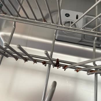 I Face Severe Rust Problem on Franke Dishwasher Racks