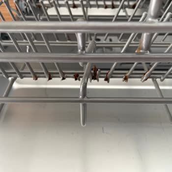 I Face Severe Rust Problem on Franke Dishwasher Racks