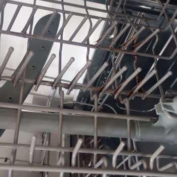 I Face Rust and Mold on Franke FDWS 712 A++ XS Dishwasher Racks After Warranty