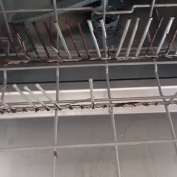 I Face Rust and Mold on Franke FDWS 712 A++ XS Dishwasher Racks After Warranty