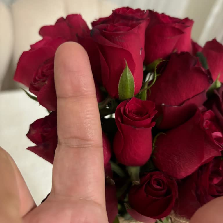 Taze Çiçek | Tazecicek.com Sipariş Edilen Premium Gül Buketi Beklentileri Karşılamadı