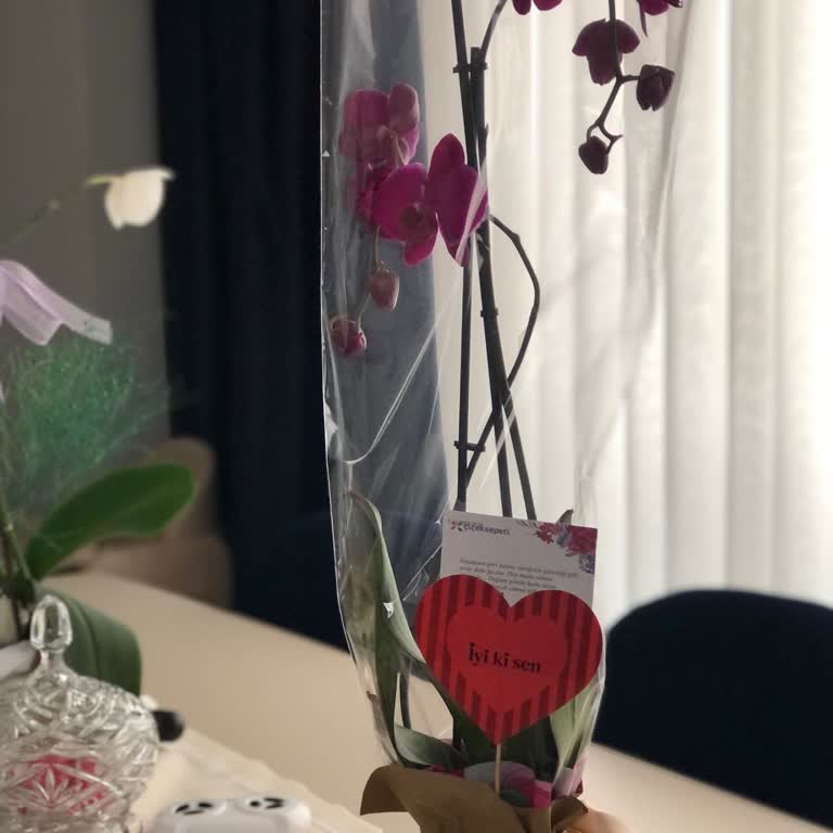Doğum Günü İçin Solmuş Orkide Ve Yetersiz Çözüm Mağduriyeti
