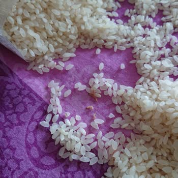 A101’den Aldığım Pirinçte Kurtlanma Ve İade Sorunu