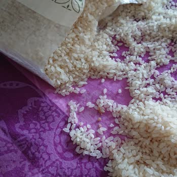 A101’den Aldığım Pirinçte Kurtlanma Ve İade Sorunu