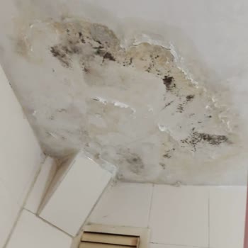 Hasar Sonrası İlgisizlik Ve Cevapsız Kalan Talepler