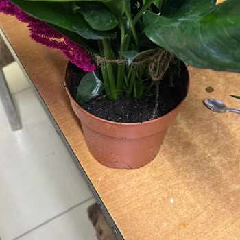 G******** F***** V* E**** Ü***, İade Talebime Dönüş Yok