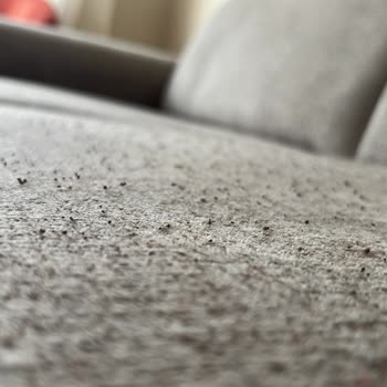 Yeni Alınan Koltuklarda Tüylenme, Gıcırdama Ve Çökme Sorunu, Servisten Çözüm Alınamıyor