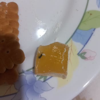 Lokumun İçinden Çıkan Yabancı Cisim Nedeniyle Sağlık Endişesi Ve Hayal Kırıklığı