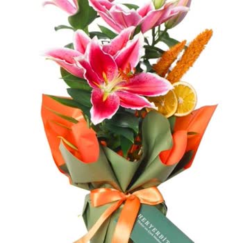 Siparişte Gönderilen Ürünün Görselden Farklı Olması ve Çözüm Sunulmaması