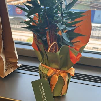 Siparişte Gönderilen Ürünün Görselden Farklı Olması ve Çözüm Sunulmaması