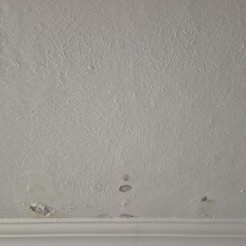 Hasar Bildiriminde Tapu Sahibi Bilgisi İstendi, Mağduriyet Yaşıyorum