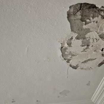 Hasar Bildiriminde Tapu Sahibi Bilgisi İstendi, Mağduriyet Yaşıyorum