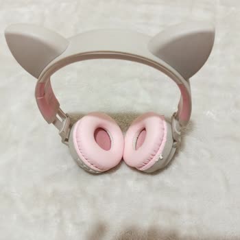 Sennheiser Accentum Ear Cushions Torn Too Soon, Warranty Only Covers Partial Fix