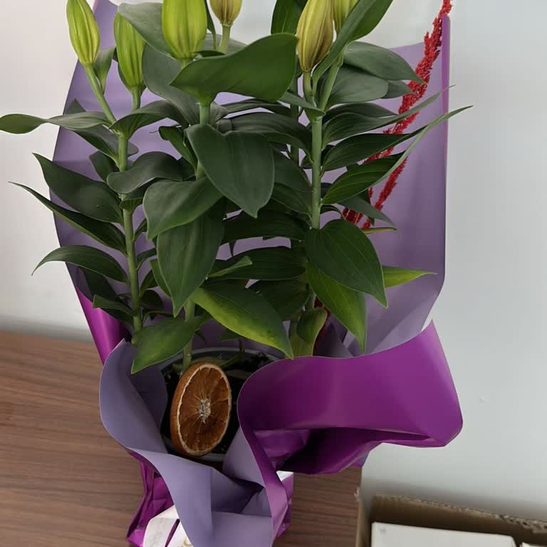 Onaylamadığım Çiçek Siparişi Yanlış Şekilde Teslim Edildi