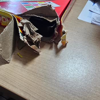 Hasarlı Ürün Teslimatı Ve Fiyat Farkı Nedeniyle Mağduriyet