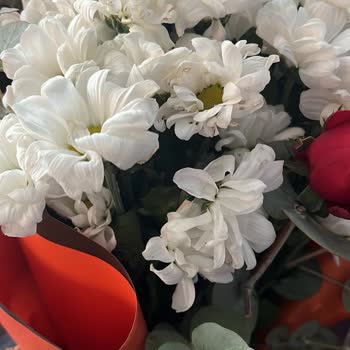 Teslim Edilen Çiçekler Solmuş Ve Taze Değildi: Hayal Kırıklığı Yaşadım