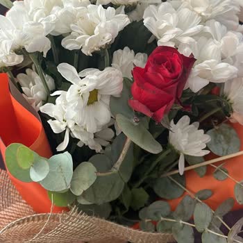 Teslim Edilen Çiçekler Solmuş Ve Taze Değildi: Hayal Kırıklığı Yaşadım