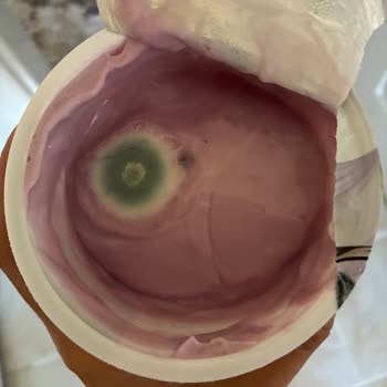 Son Kullanma Tarihi Geçmemiş Yoğurtta Küf Şoku Ve Mağduriyet