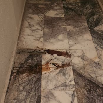 Otel Ve Tatilbudur'dan İlgisizlik, Temizlik Sorunu Ve Çözüm Eksikliğiyle Mağduriyet Yaşadım