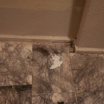 Otel Ve Tatilbudur'dan İlgisizlik, Temizlik Sorunu Ve Çözüm Eksikliğiyle Mağduriyet Yaşadım