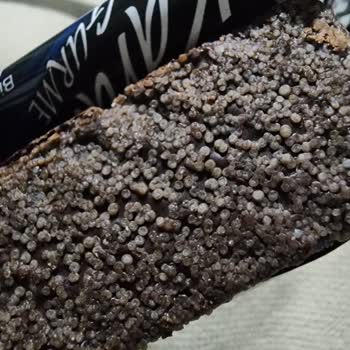 Aldığım Çikolatanın Bozuk Çıkması Ve Mağduriyetimin Giderilmesini Talep Ediyorum