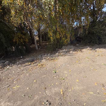 Erzurum Büyükşehir Belediyesi Evimin Önüne Yarım Bırakılan Taş Döşeme ve Muhtarın İlgisizliği