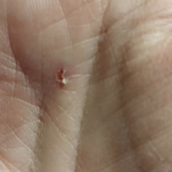 Karaca Elegance Çatal Bıçak Takımı Tasarım Hatalı