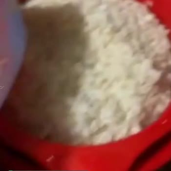 Hasata Pirinç Kokuyor Ve Siyah Pirinç Çok Var Kırılıyor