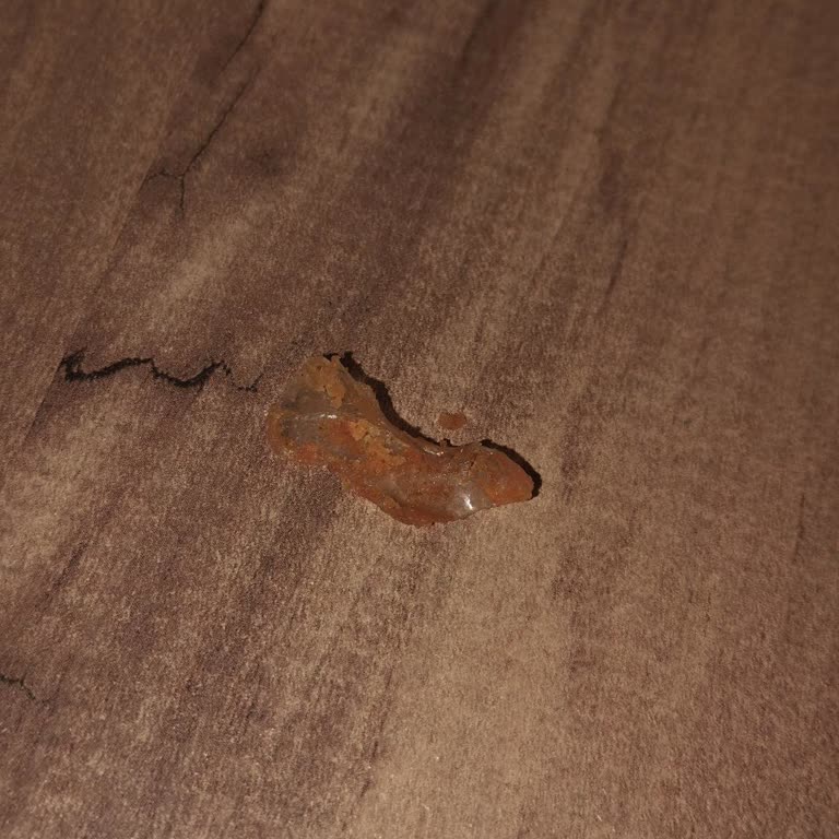 Patos Rolls İçinde Plastik Parça Buldum, Ciddi Sağlık Riski Yaşadım