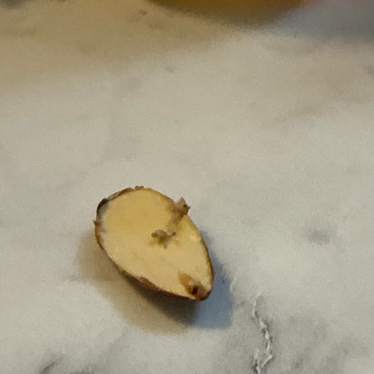 Harras Kavrulmuş Badem İçinden Kurt Çıkması Güvenimi Sarstı