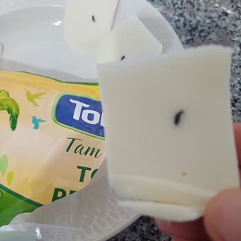 Torku Tost Peynirinde Siyah Yabancı Maddeyle Karşılaştım, Hayal Kırıklığı Yaşadım