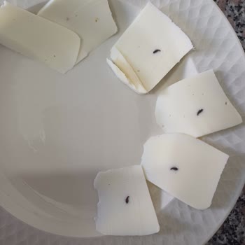 Torku Tost Peynirinde Siyah Yabancı Maddeyle Karşılaştım, Hayal Kırıklığı Yaşadım