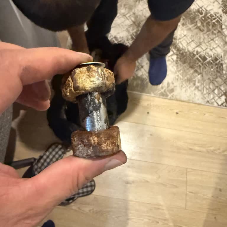 DAF Enerji Arızasında Yüksek Ücret Ve Çözüm Eksikliği Mağduriyet Yaşadım