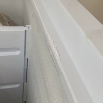 Derin Dondurucuda Sürekli Karlanma Ve Yetersiz Müşteri Hizmeti