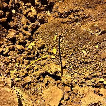 Fiber Kablo Kesintisi: Hizmet Yok, Çözüm Yok!