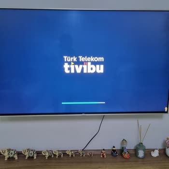 LG TVde Tivibu Uygulaması Güncellenmediği İçin Kullanılamıyor