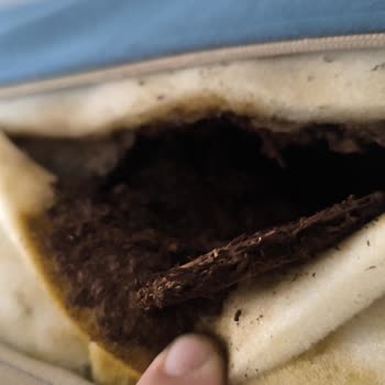 Koltuk Takımı Paketinden Lekeli Ve Hasarlı Çıktı, Servis Gecikiyor