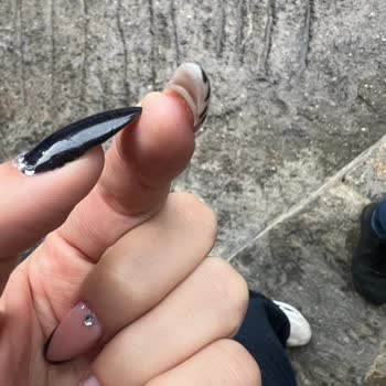 Saygısız Davranışlar Ve Çözüm Sunulmayan Hizmet