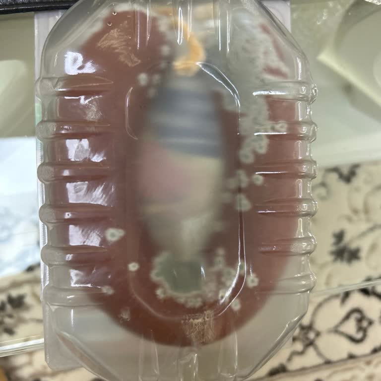 Ambalajı Açılmamış Sucuk Küflendi, İade Talebim Reddedildi