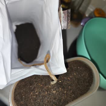 Çay Paketinden Yabancı Madde Çıkması Hakkında Şikayet