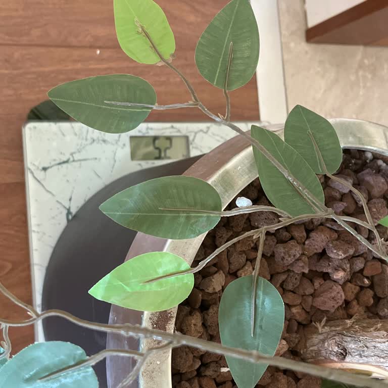 Kargom Kapıma Bırakılmadı, Site Dışında Hasarlı Şekilde Buldum