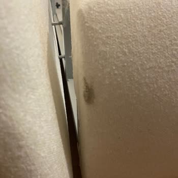 Kusurlu Teslim Edilen Puffy-Prime Baza İçin Değişim Veya İade Talebim Karşılanmadı