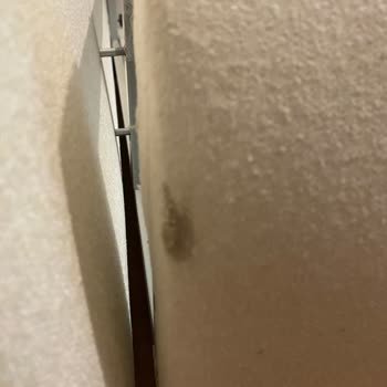 Kusurlu Teslim Edilen Puffy-Prime Baza İçin Değişim Veya İade Talebim Karşılanmadı