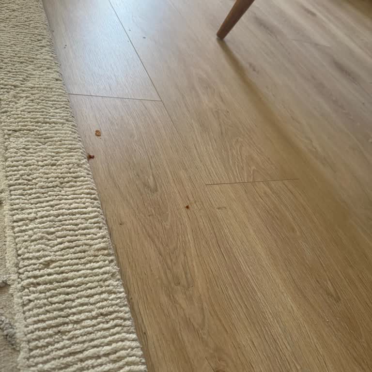 Roborock Qrevo L Suction Problem After Three Months of Use