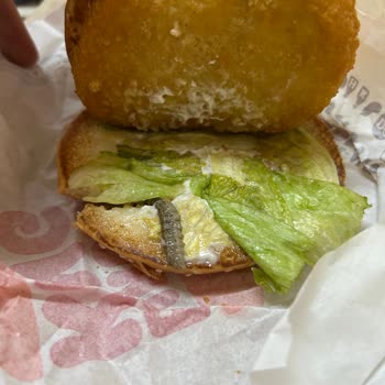 Burger King Tırtıllı Hamburger