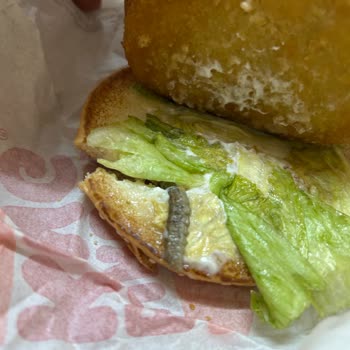 Burger King Tırtıllı Hamburger