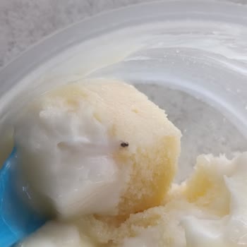 Satın Aldığım Pastadan Böcek Çıktı, Açıklama Ve Özür Bekliyorum