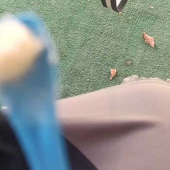 Satın Aldığım Pastadan Böcek Çıktı, Açıklama Ve Özür Bekliyorum